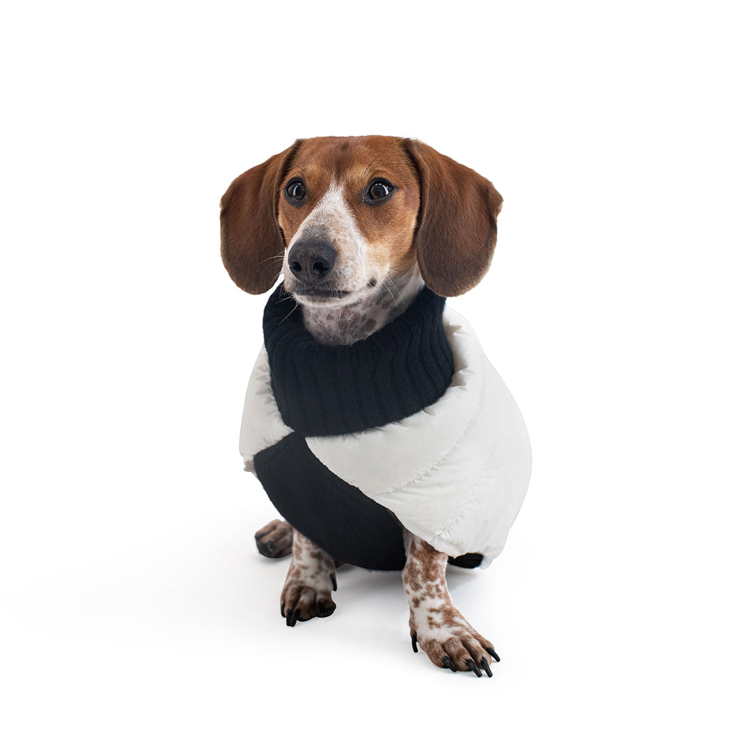 The Puffer Sweater