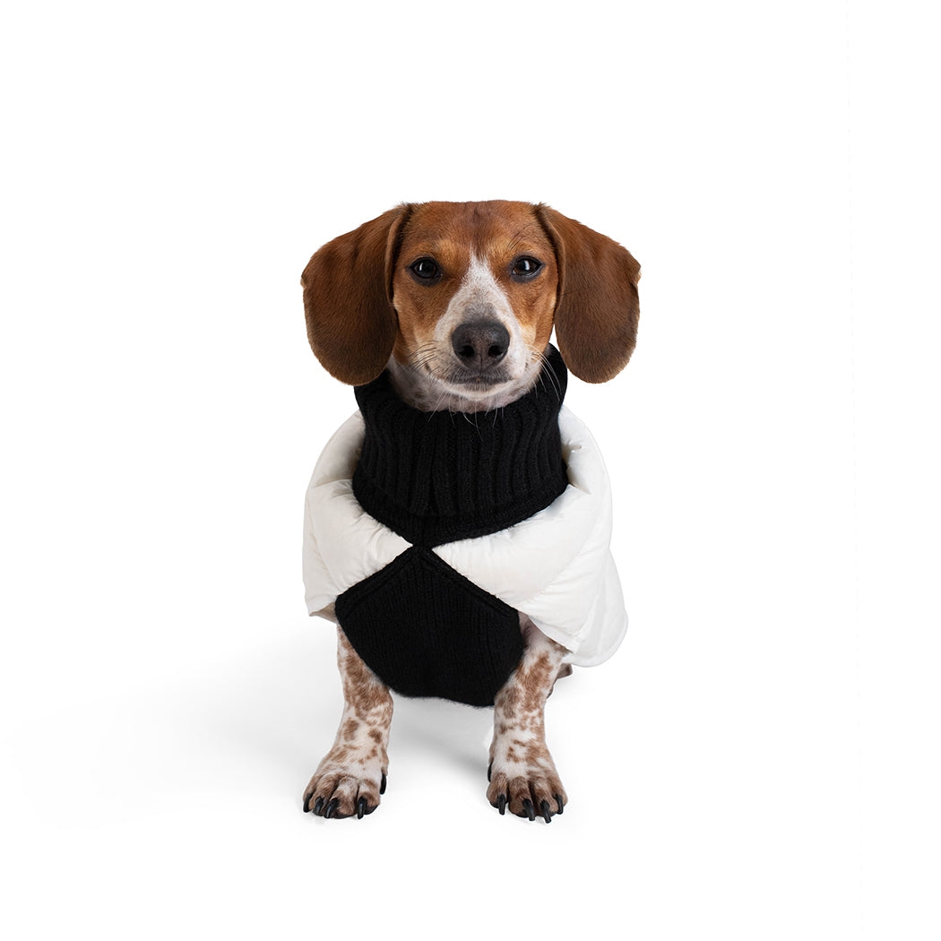 The Puffer Sweater