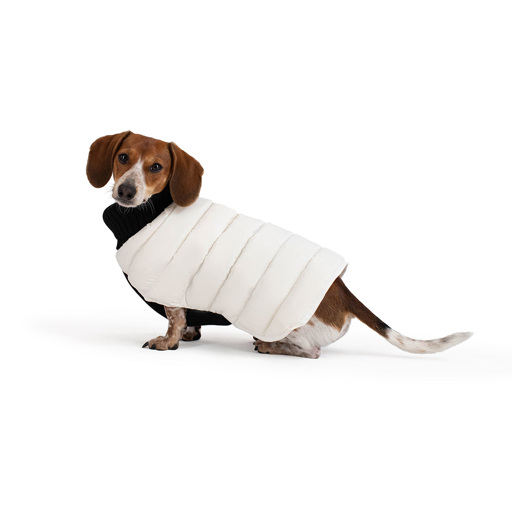 The Puffer Sweater
