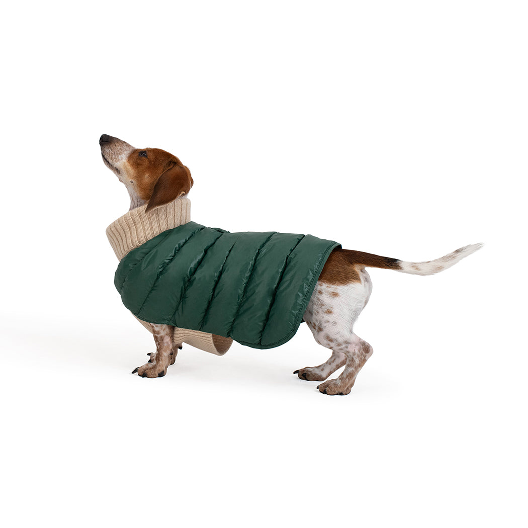 The Puffer Sweater