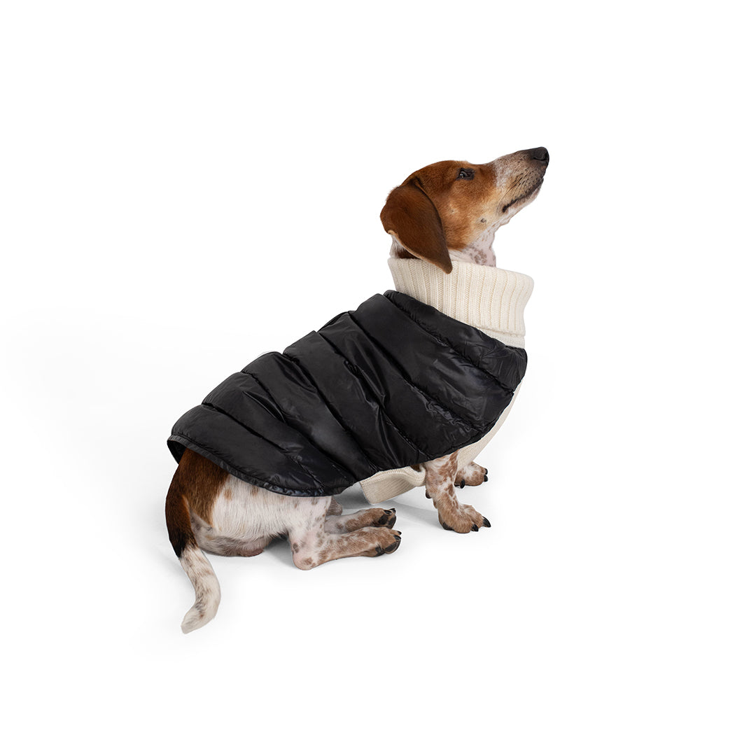 The Puffer Sweater