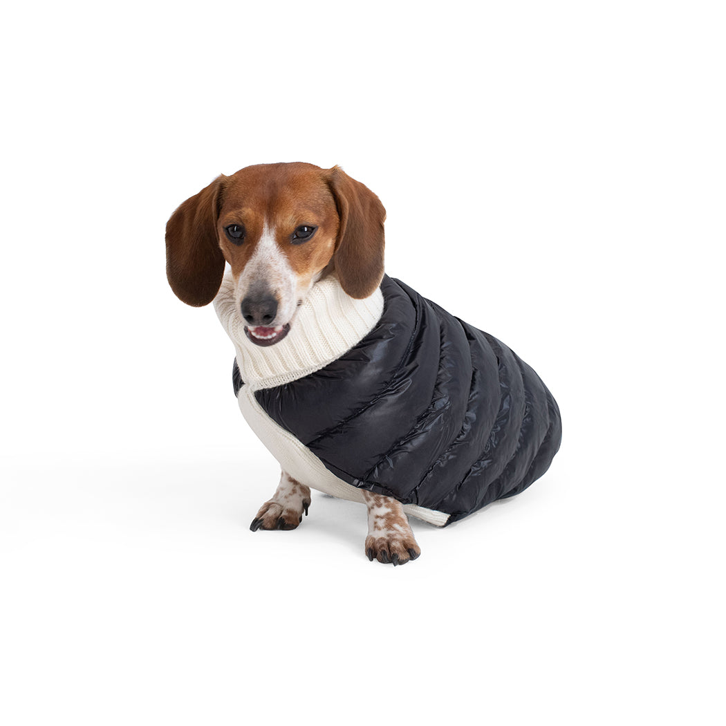 The Puffer Sweater